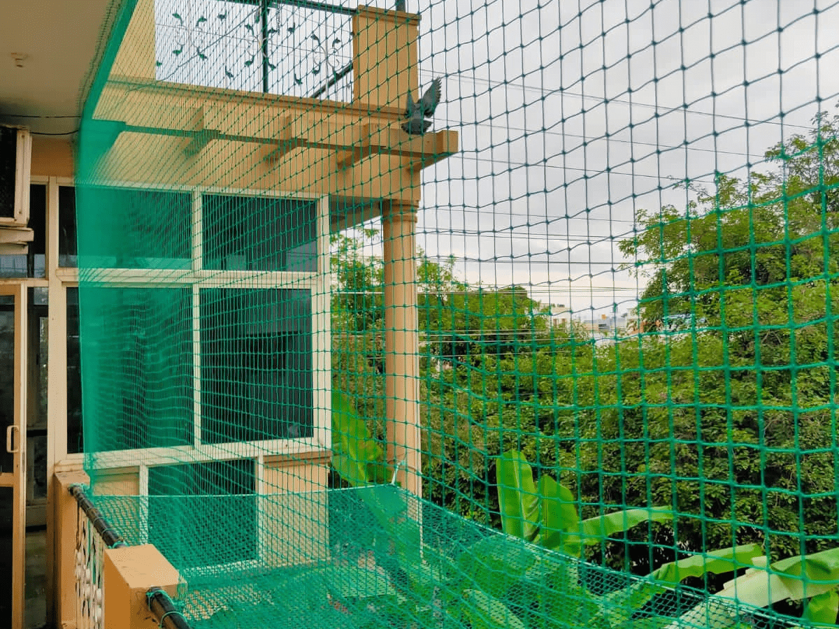 Antibird Nets - Best Safety Net