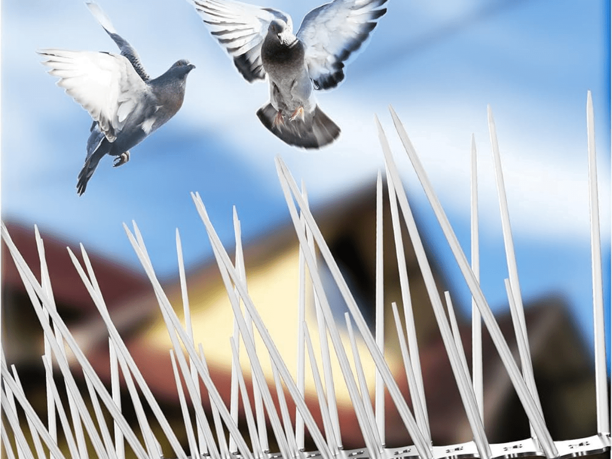 Bird Spikes - Pigeon Spikes