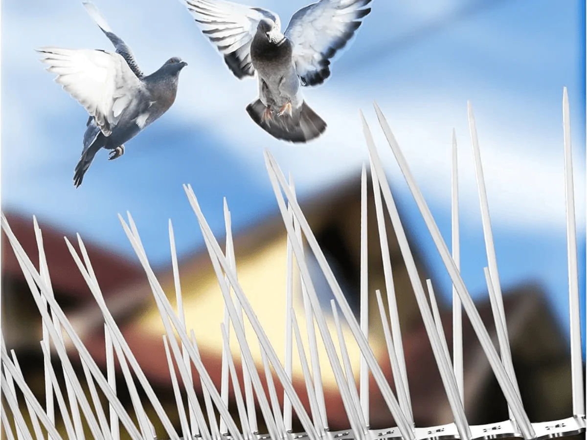 Bird Spikes - Pigeon Spikes