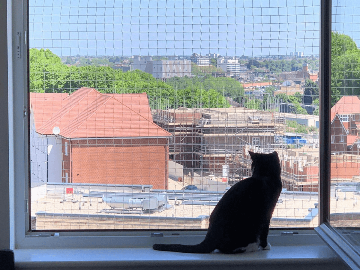 Pets Safety Nets - Safety Net Bangalore