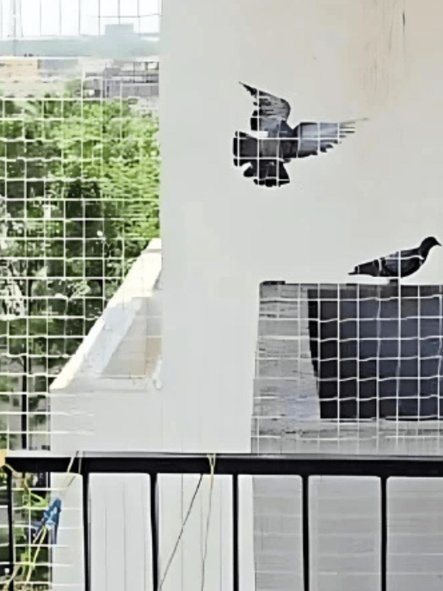 Pigeon Net Installation - Pigeon Safety Nets
