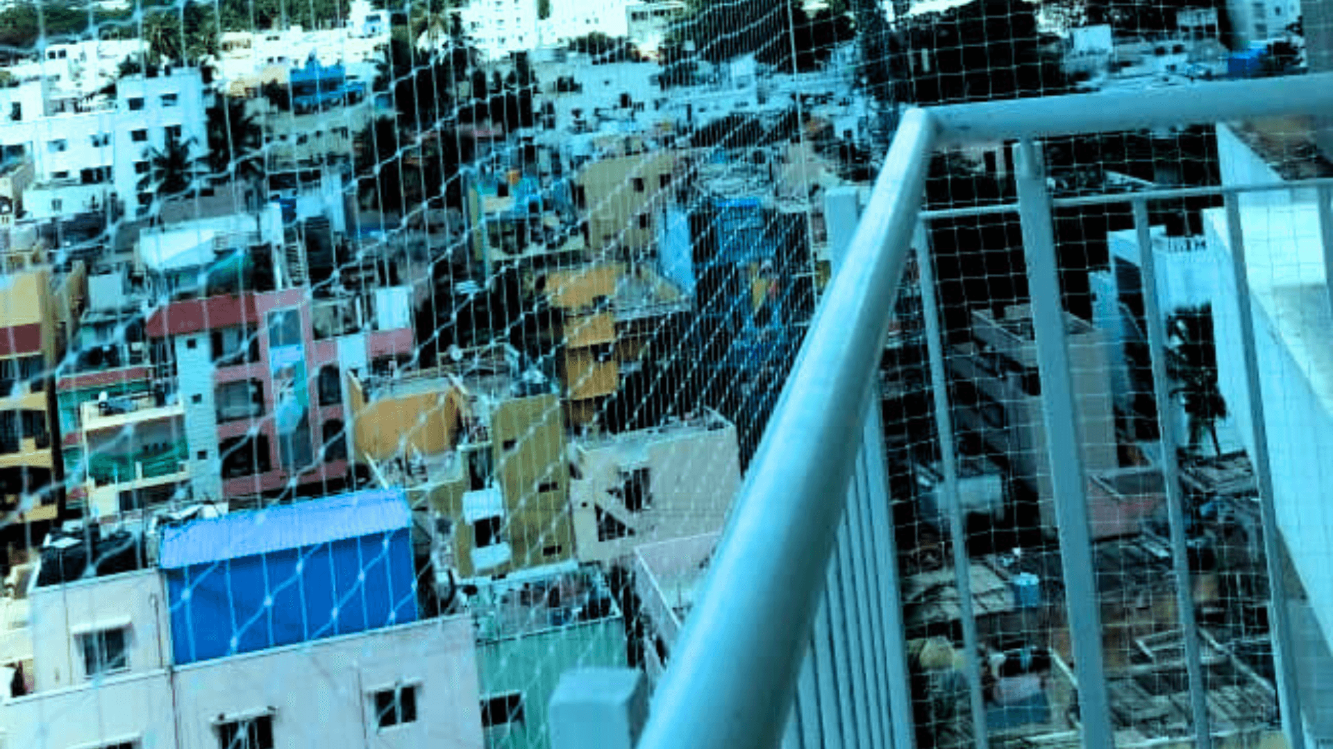 Pigeon Safety Net