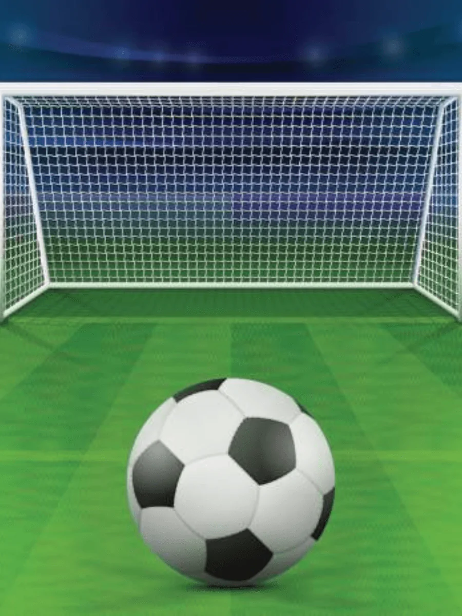 Soccer Netting - Soccer net